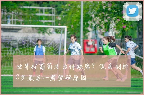 乐鱼体育